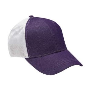 Knockout Cap - Purple/ White