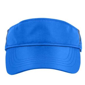 Drive Performance Visor - True Royal/ Carbon