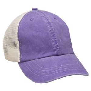 Game Changer Cap - Grape
